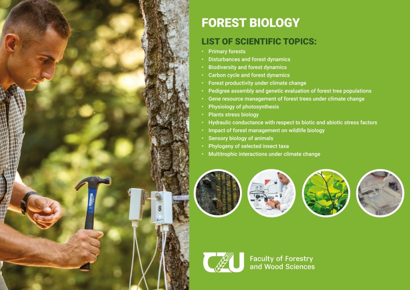 Forest Biology Forestry and Wood Sciences CZU Prague